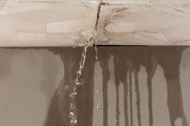 Professional Water Damage Repair technician working in Iron Station, NC
